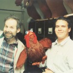 Ira, Larry and a Chicken